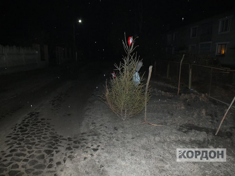 d5769dce-8176-438e-9dd7-ca9cade2231f