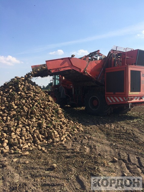 buryaky-2