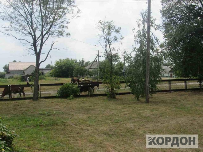 20107179_782893695205079_858324289_o