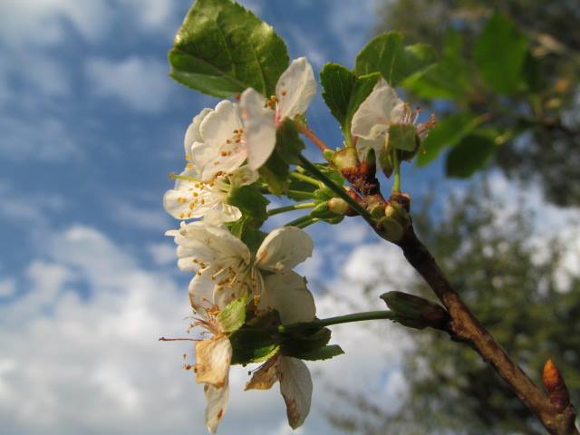 21230972_1004809982991998_3659473420677640416_n