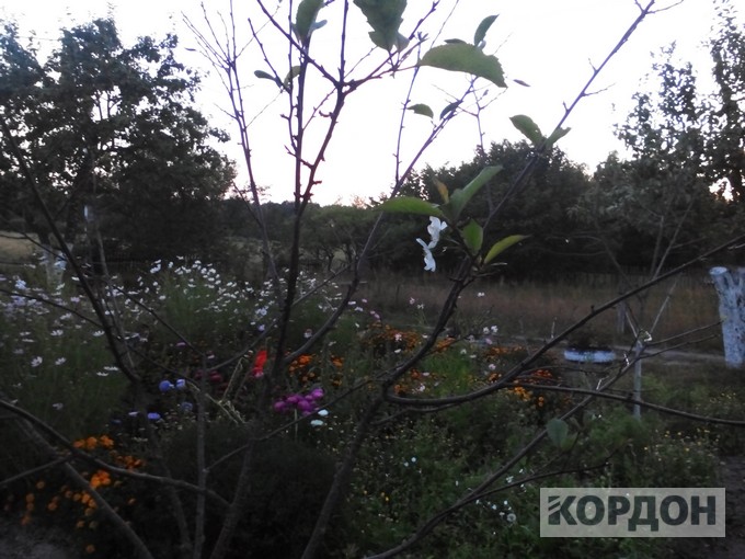 IMG_20170831_195704 (1)